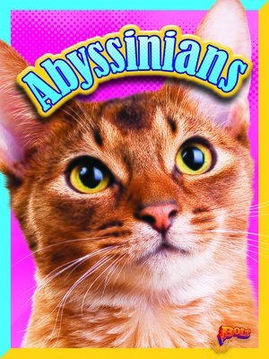 cover image of Abyssinians